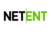 net-ent logo